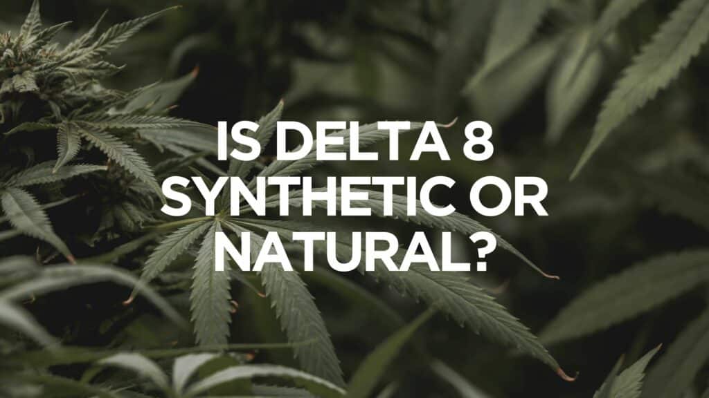 Is Delta Synthetic Or Natural