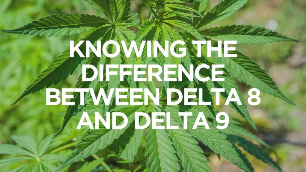 Knowing The Difference Between Delta 8 And Delta 9