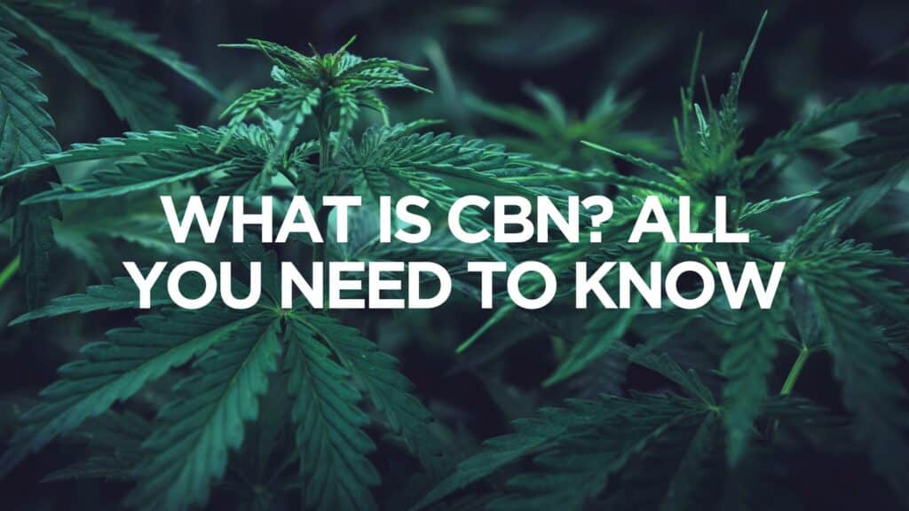 What Is Cbn All You Need To Know