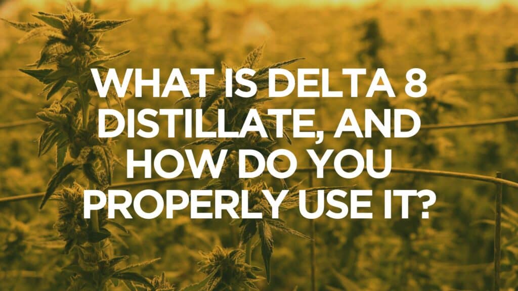 What Is Delta 8 Distillate And How Do You Properly Use It
