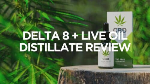 Delta 8 Live Oil Distillate Review