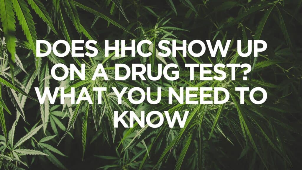 Does Hhc Show Up On A Drug Test What You Need To Know
