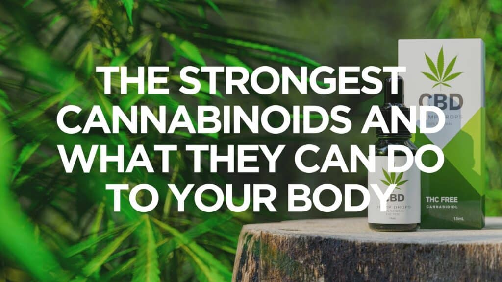 The Strongest Cannabinoids And What They Can Do To Your Body