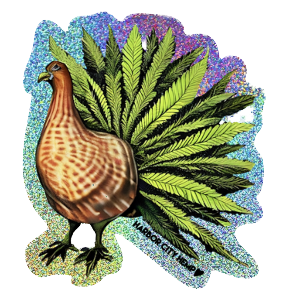 Hch Cannabis Turkey Sticker