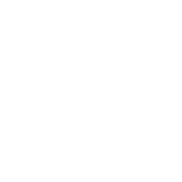 Law Icon White Transparent
