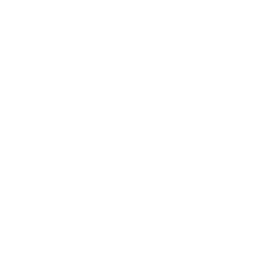 Usa Heart Icon White Transparent