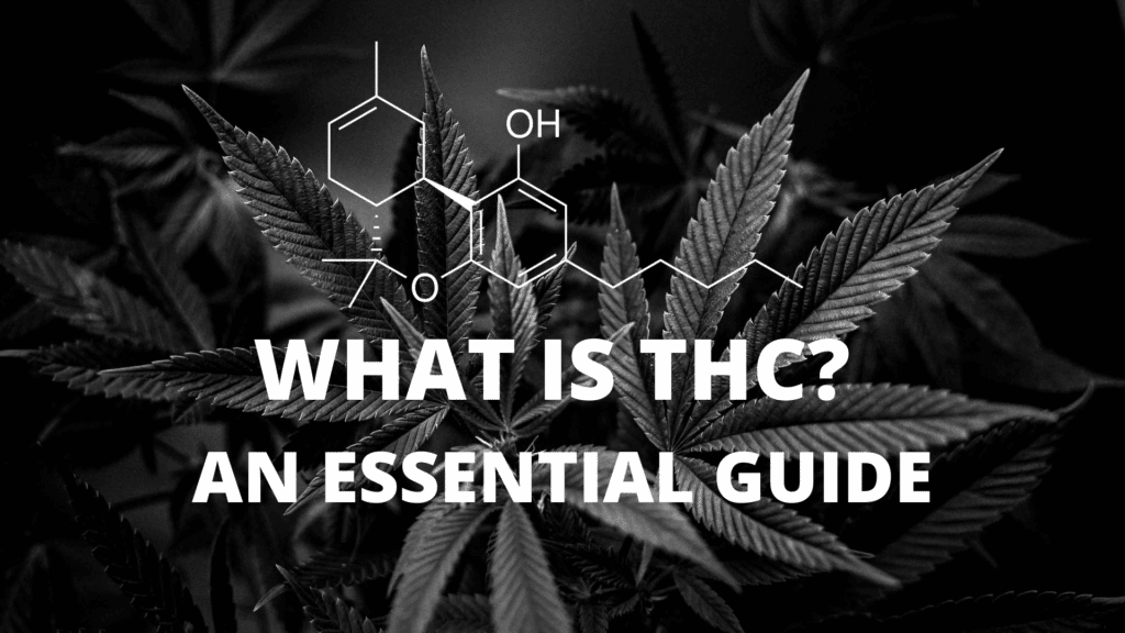 What Is Thc