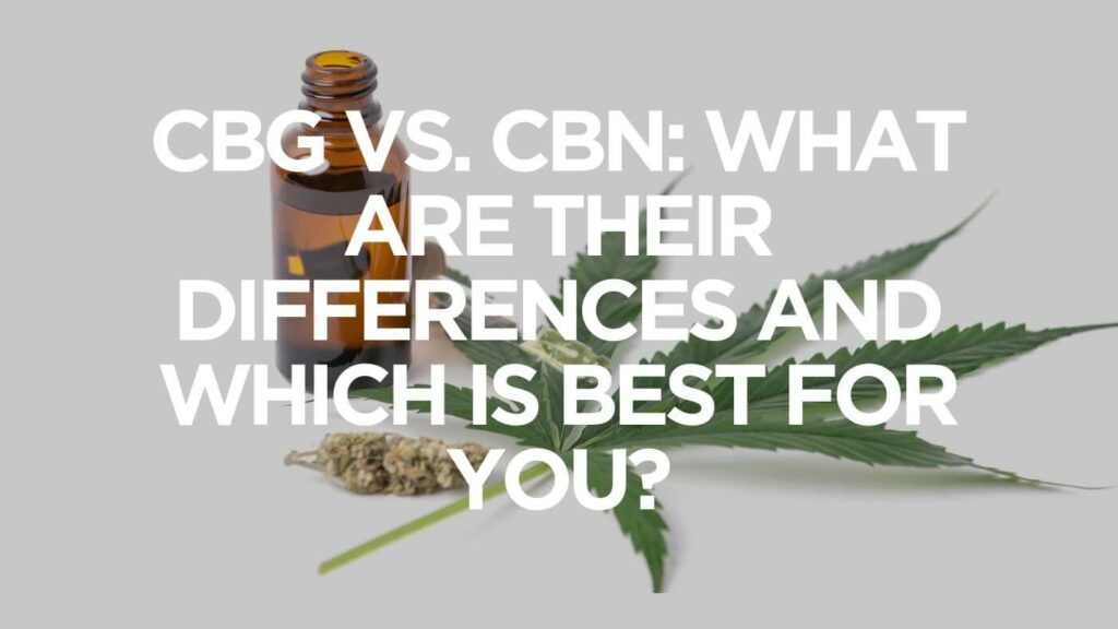 Cbg Vs Cbn What Are Their Differences And Which Is Best For You