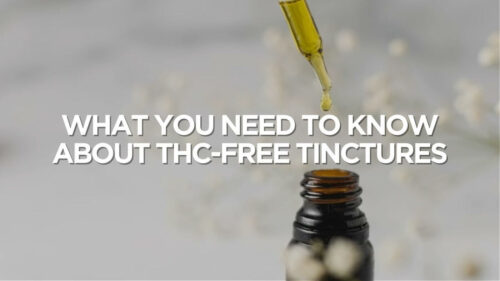 What You Need To Know About Thc Free Tinctures