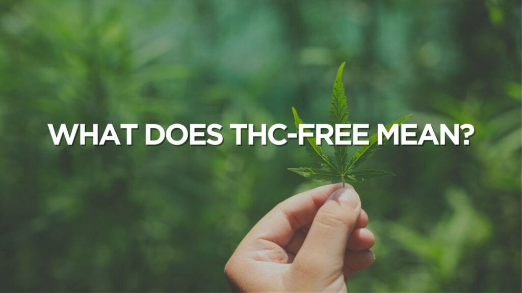 What Does Thc Free Mean