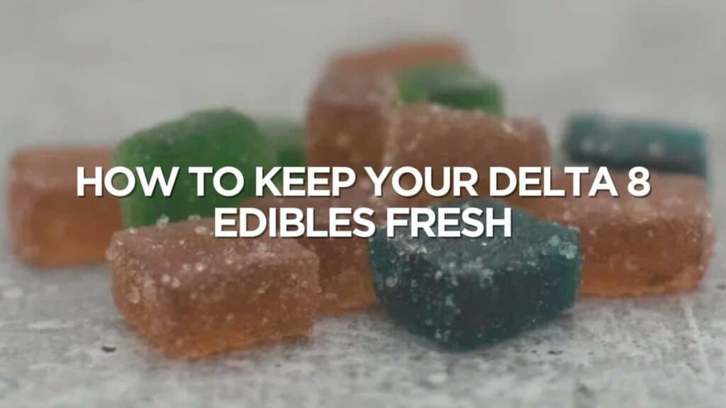 How To Keep Your Delta 8 Edibles Fresh