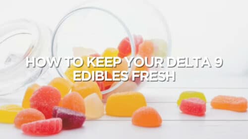 How To Keep Your Delta 9 Edibles Fresh