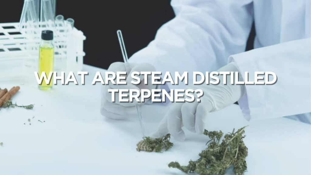 What Are Steam Distilled Terpenes