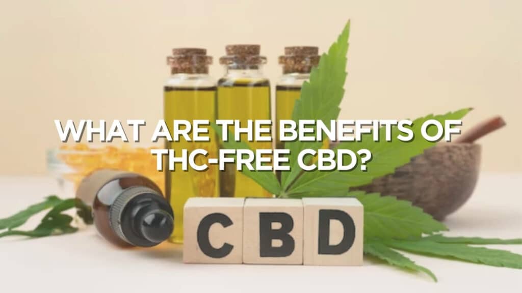 What Are The Benefits Of Thc Free Cbd