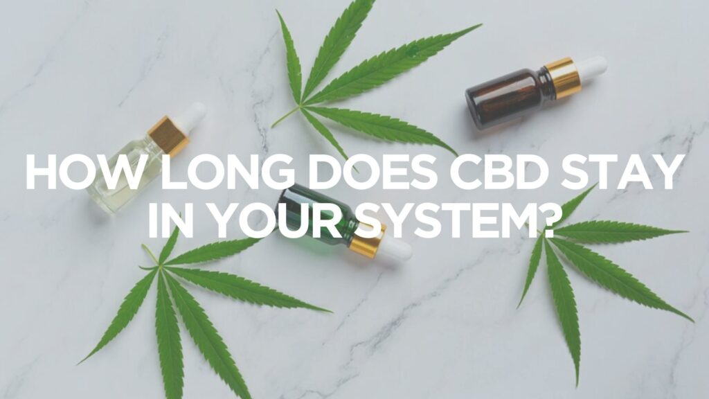 How Long Does Cbd Stay In Your System