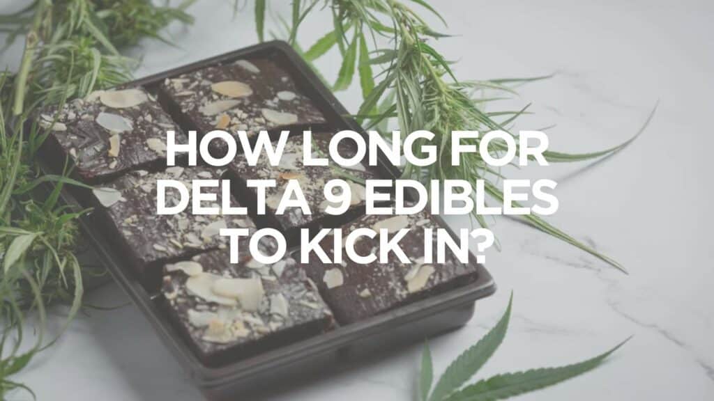 How Long For Delta 9 Edibles To Kick In