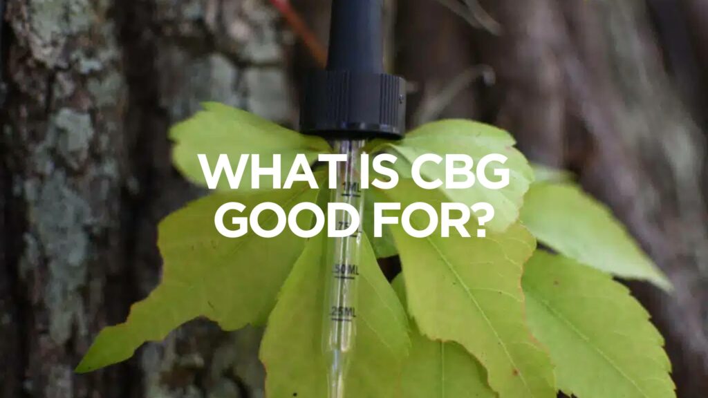 What Is Cbg Good For