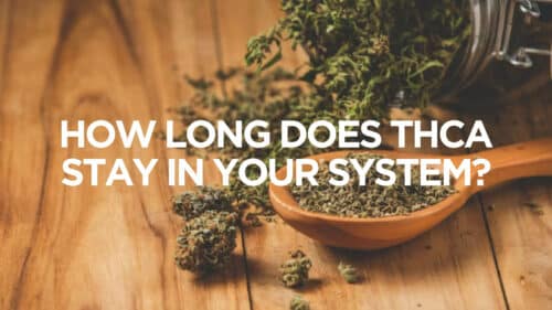 How Long Does Thca Stay In Your System