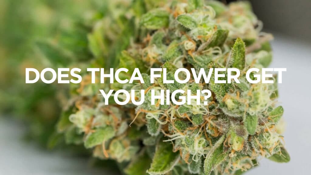 Does Thca Flower Get You High