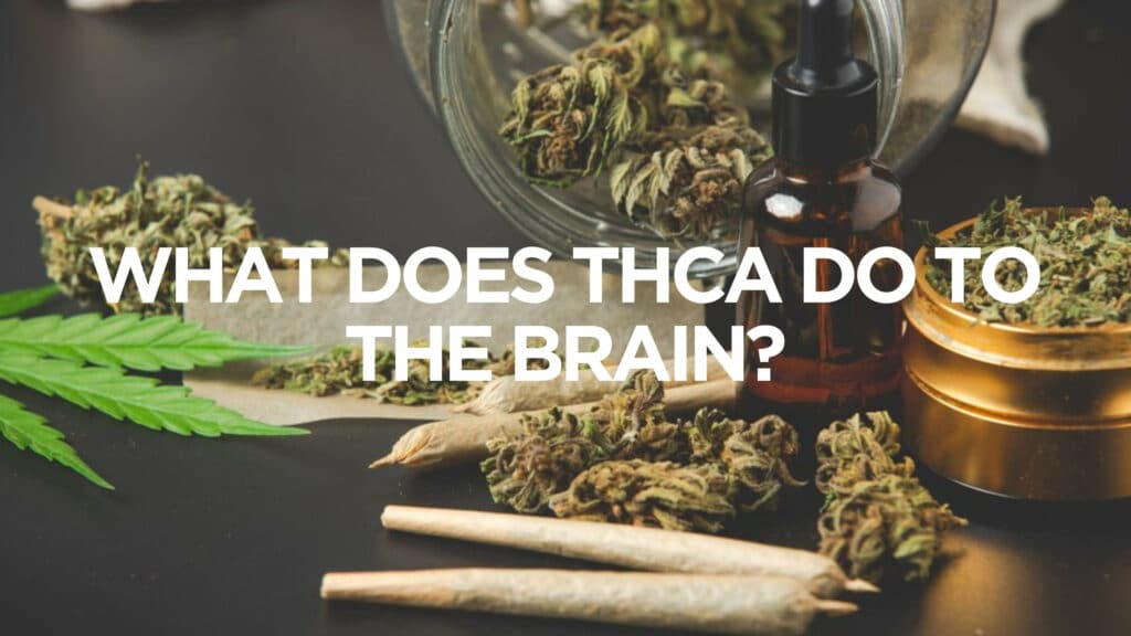 What Does Thca Do To The Brain