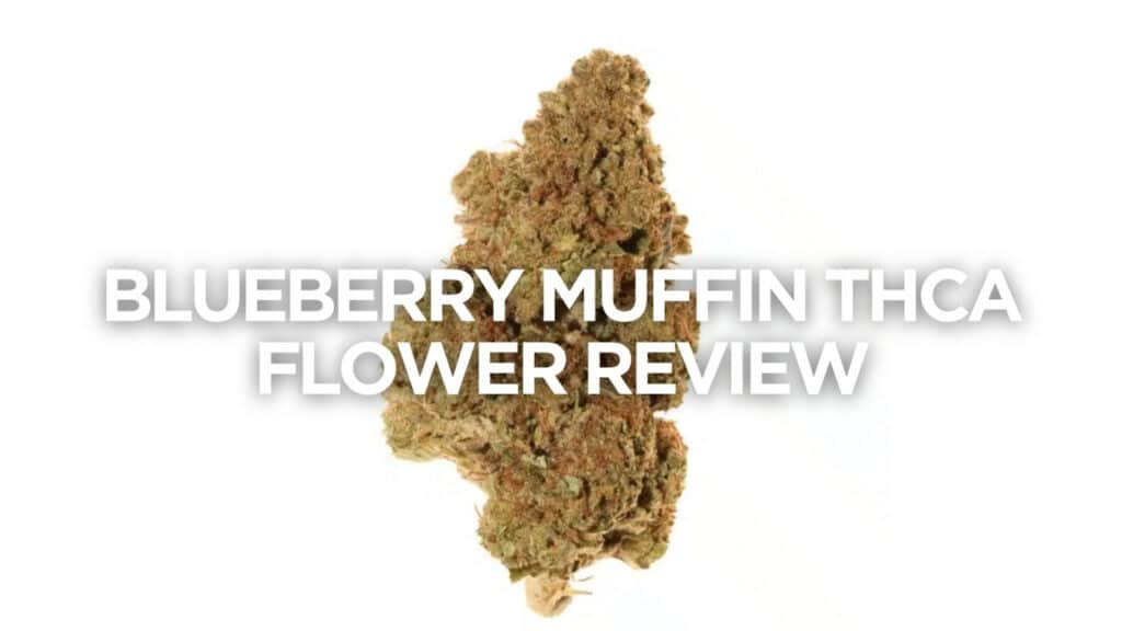 Blueberry Muffin Thca Flower Review
