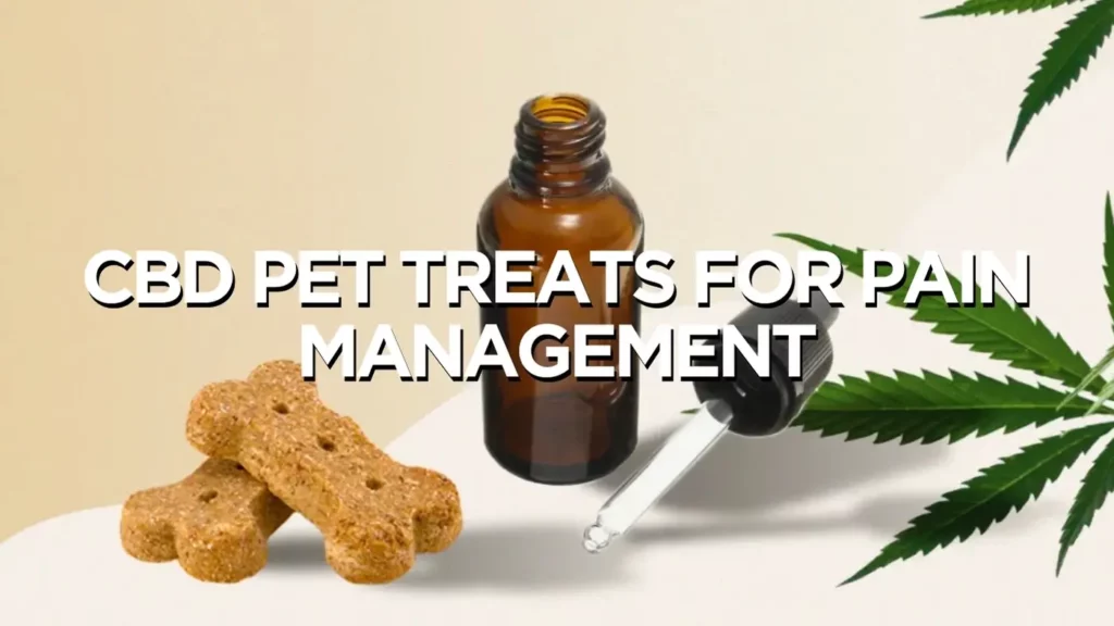 Cbd Pet Treats For Pain Management