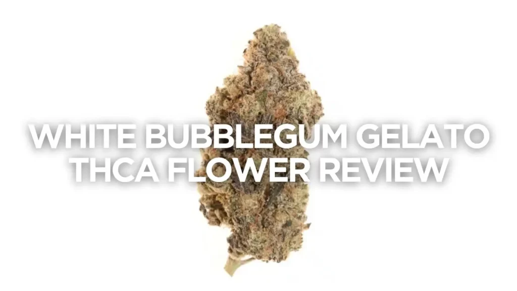 White Bubblegum Gelato Thca Flower Review