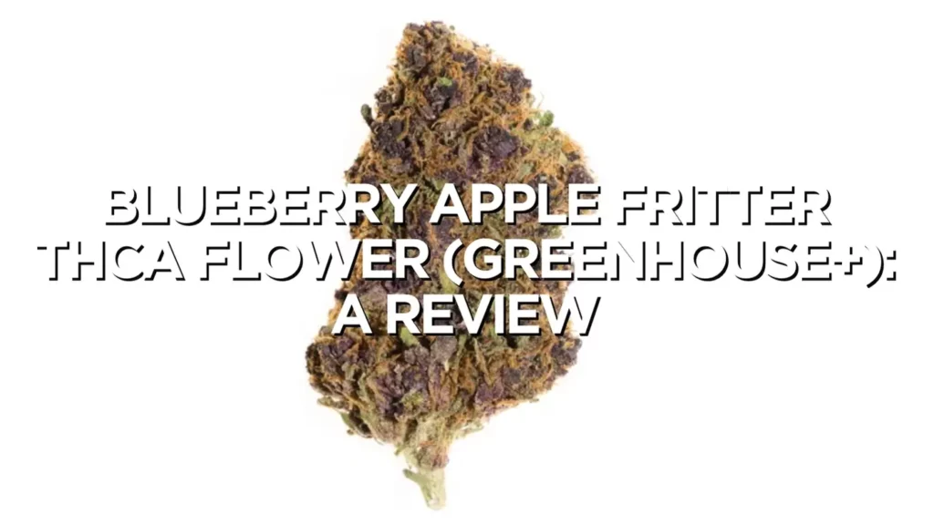 Blueberry Apple Fritter Thca Flower Greenhouse Review